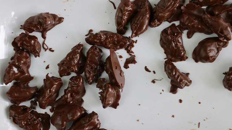 Chocolate covered cicadas in a white bowl