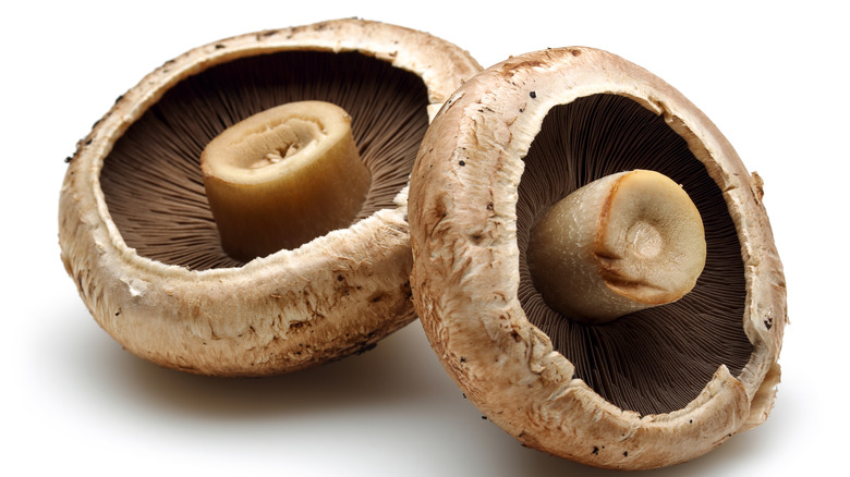 Raw portobello mushrooms 