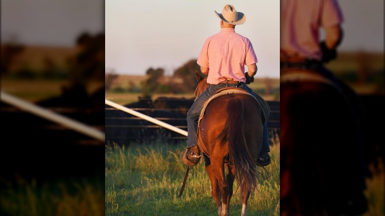 Ladd Drummond riding his horse