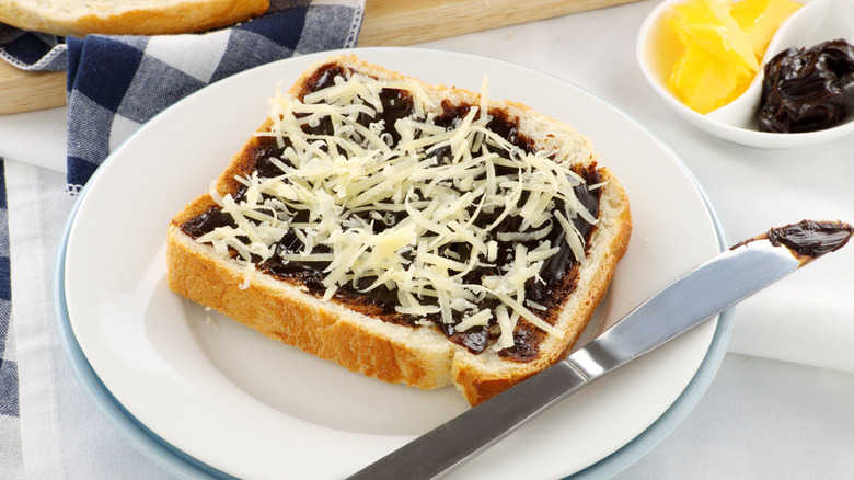 Vegemite sandwich with shredded cheese 