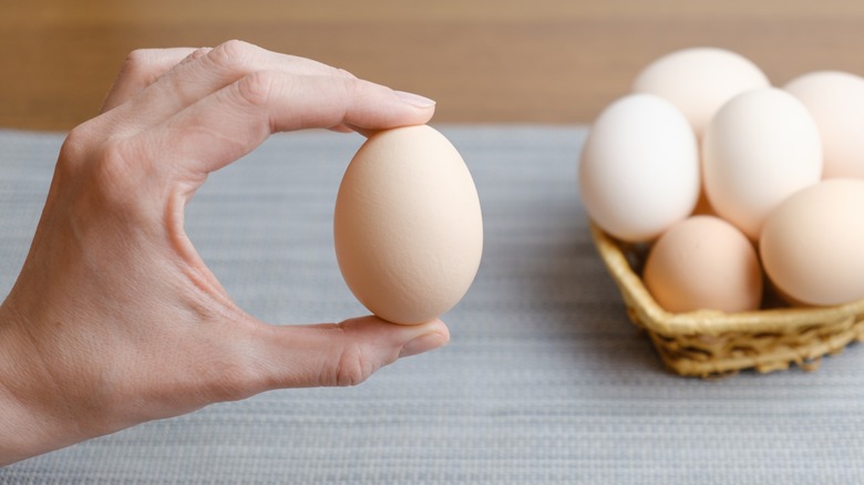 A hand holding an egg between its index finger and thumb 