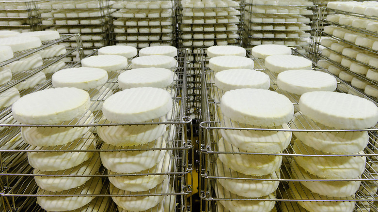 Cheese aging on racks