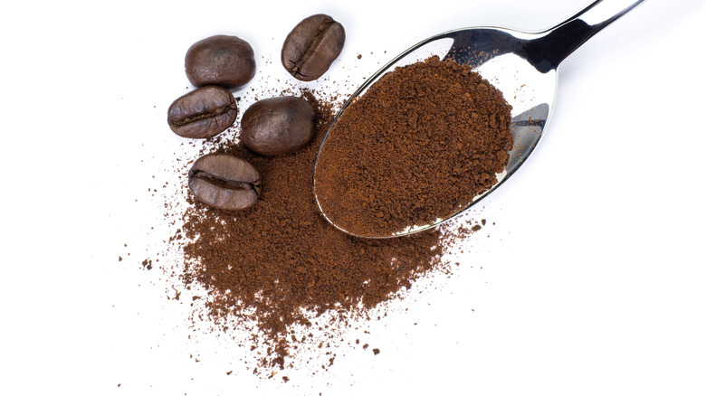 Spoonful of instant coffee powder