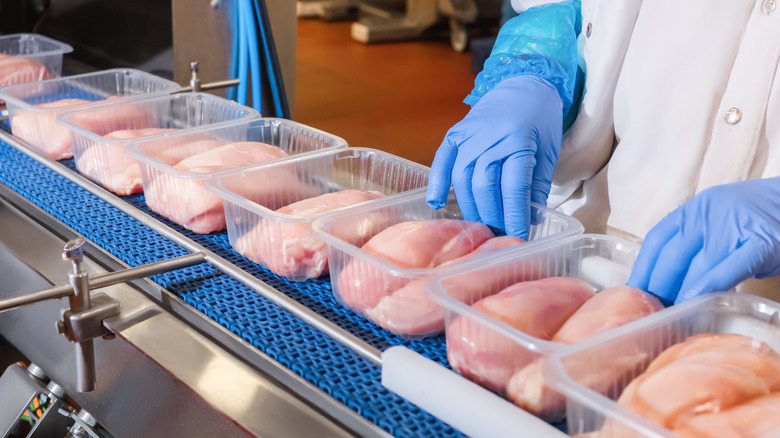 Chicken breasts being packaged at a poultry plant