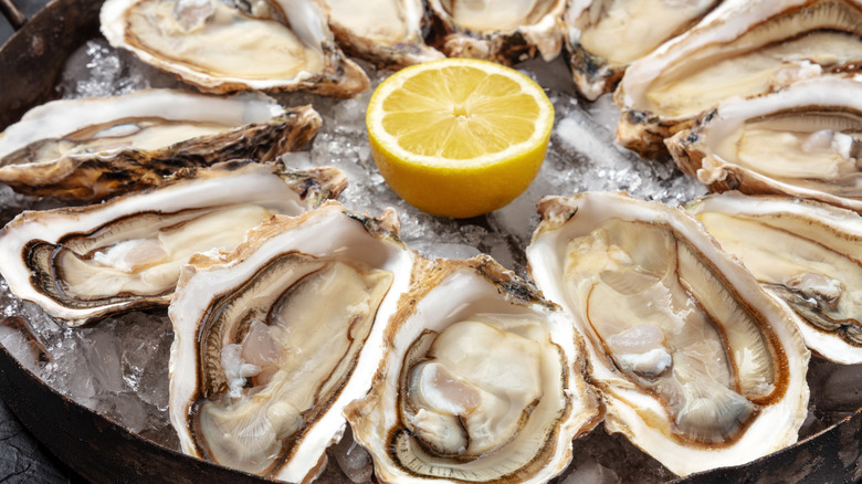 A plate of oysters with lemon wedge