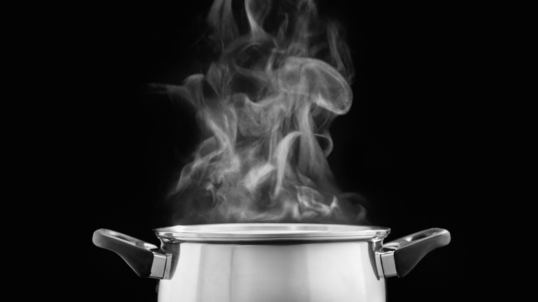 Steaming cooking pot