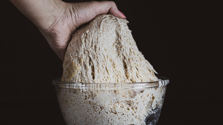 Pulling bread dough from glass bowl