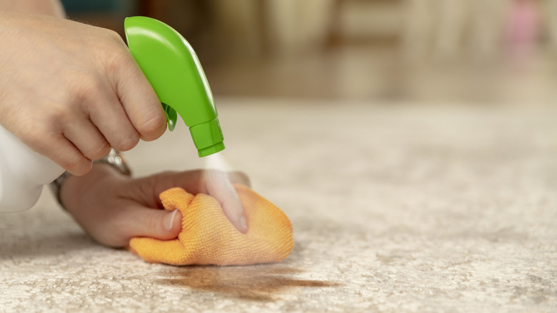 spraying stain on carpet