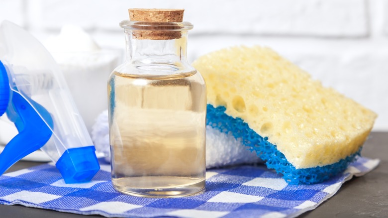 vinegar cleaning supplies