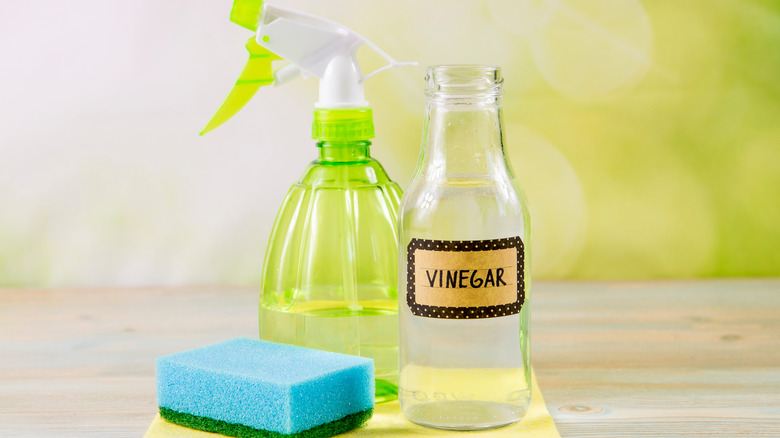 vinegar sponge and spray bottle 