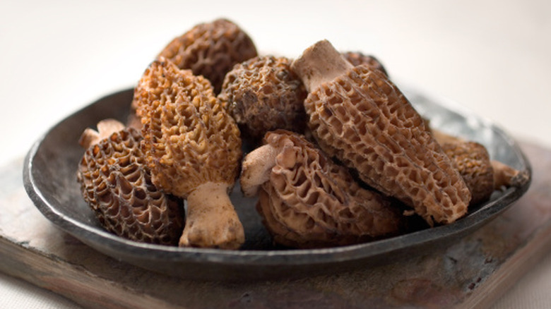 rustic bowl full of fresh morel mushrooms