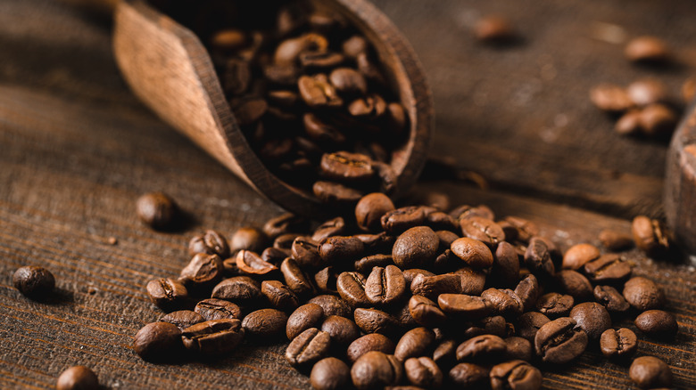 Coffee beans in scoop on table 