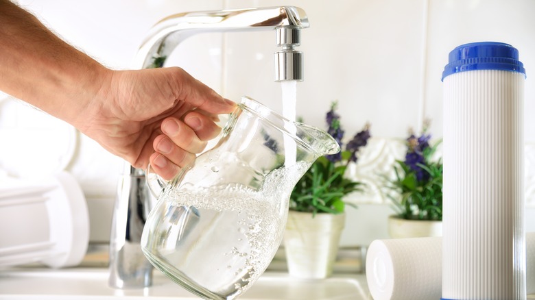 jug being filled with water at sink 