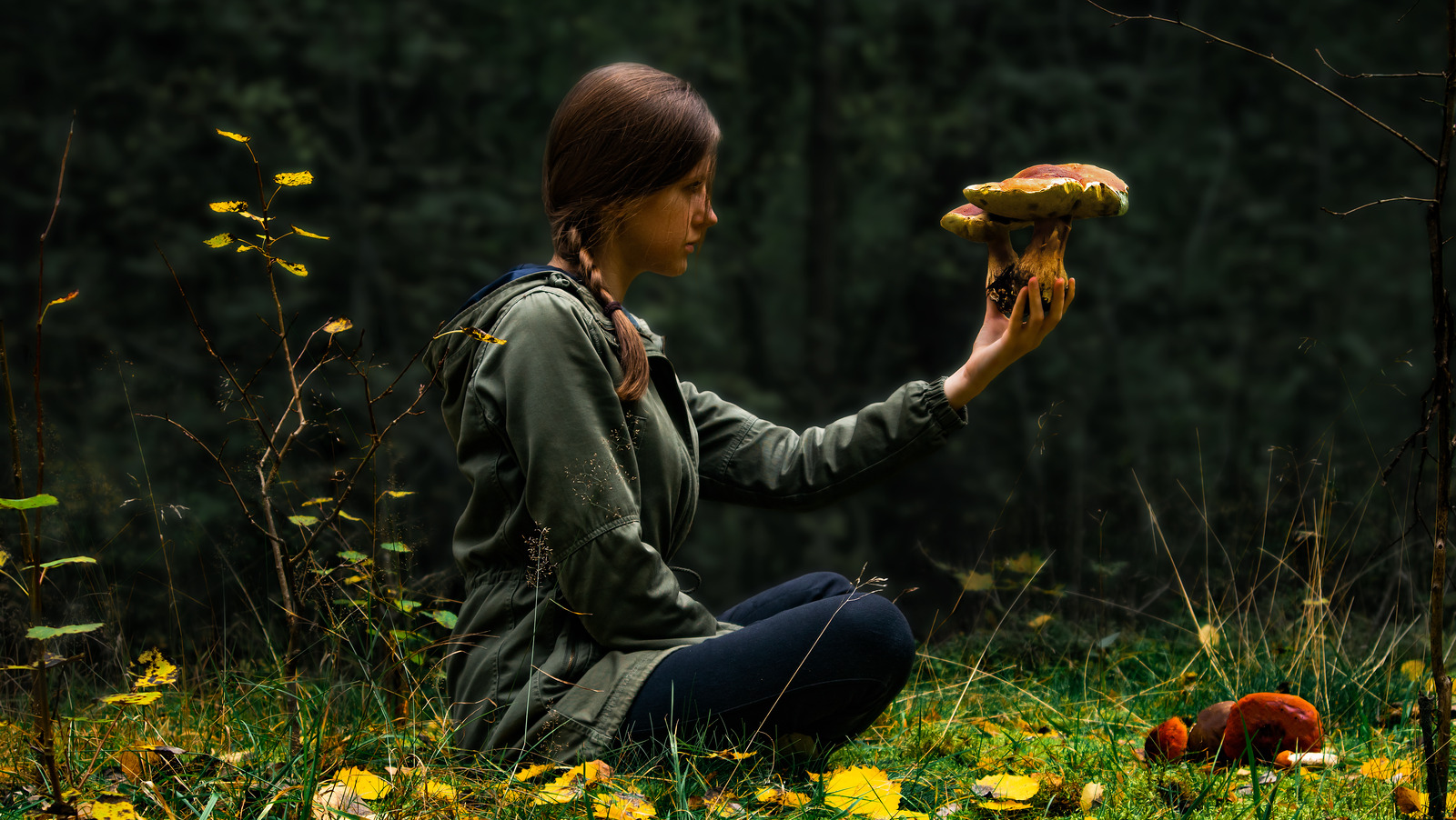 how-to-hunt-for-mushrooms-and-not-die