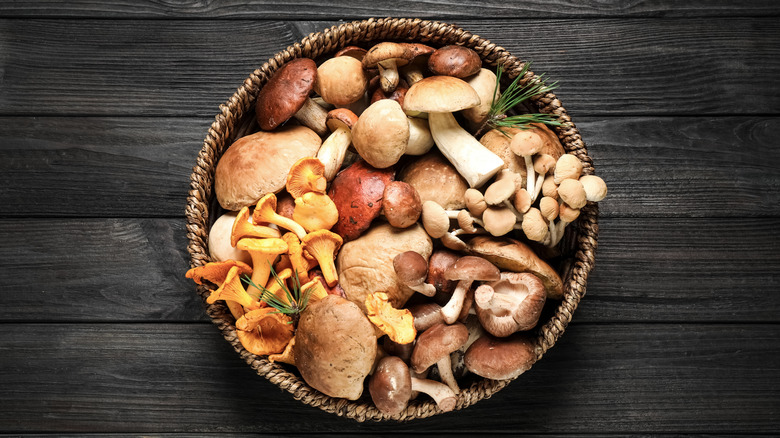 Wild mushroom in bowl 