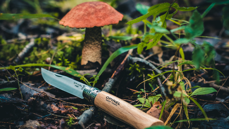 Mushroom and knife