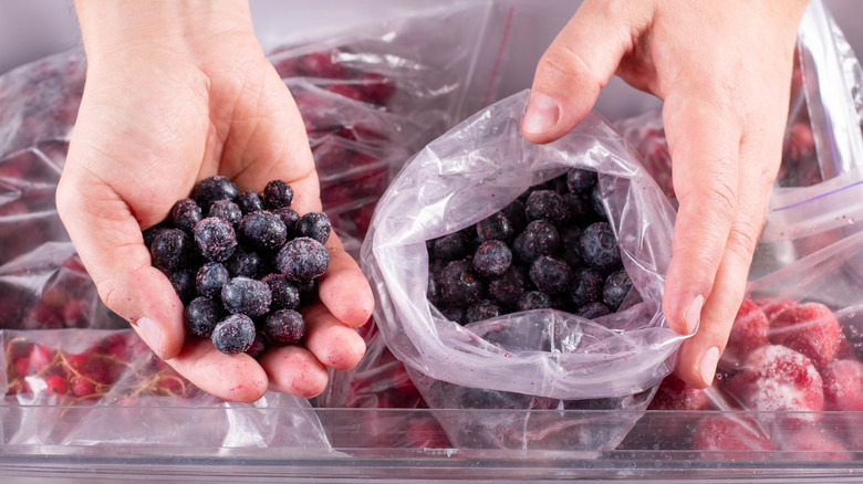 Person holding blueberries in a freezer