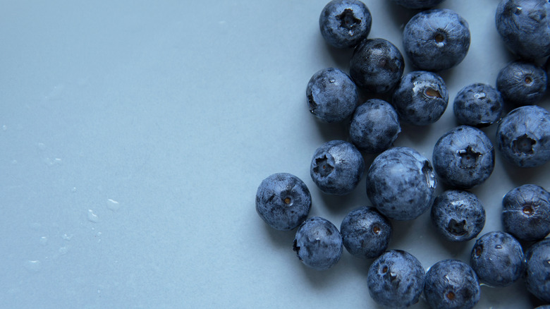 Blueberries against a blue backdrop