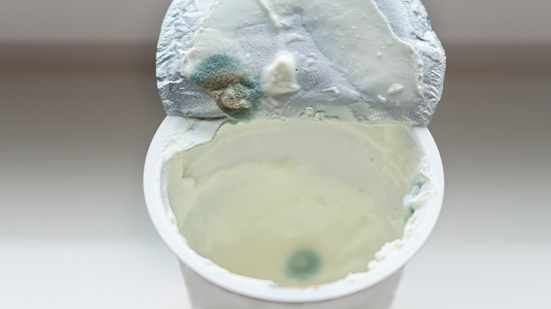 spoiled sour cream with blue mold