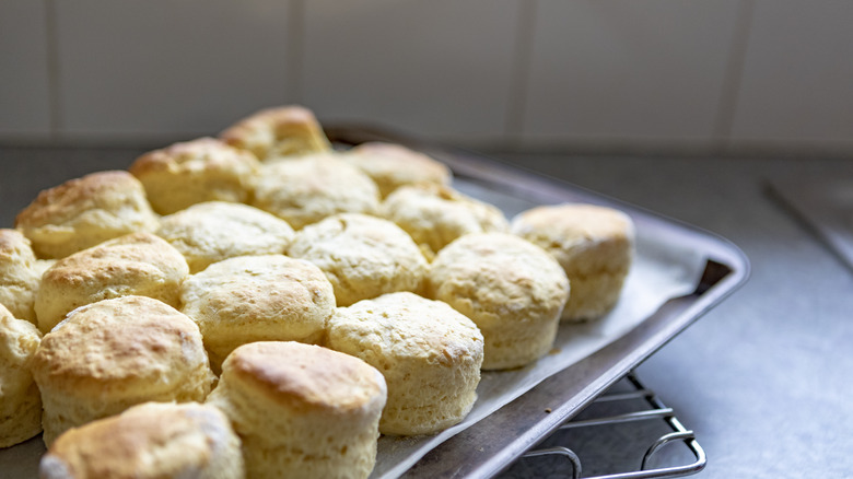 Homemade biscuits in pan