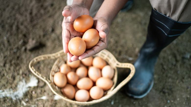 Person holding fresh eggs 