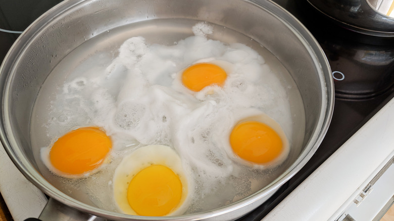 Four eggs in pot of water