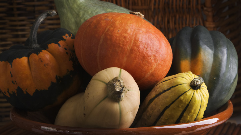 squash varieties