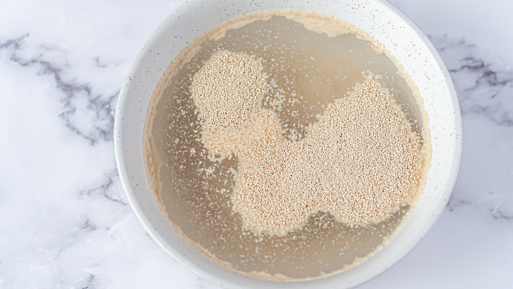 yeast proofing in a bowl