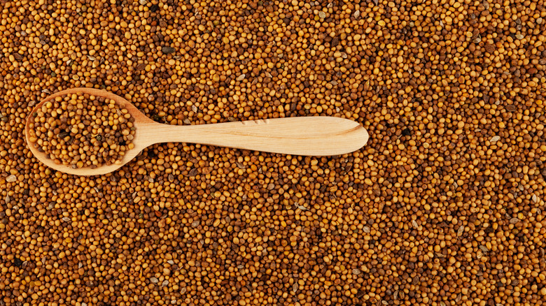 Wooden spoon atop mustard seeds