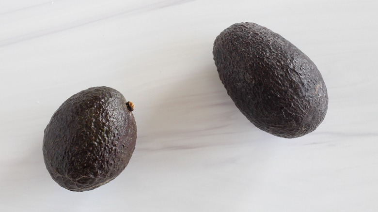 Two avocados on a white background