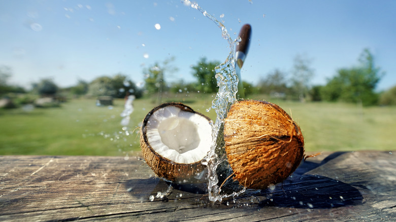 Split coconut with knife and water