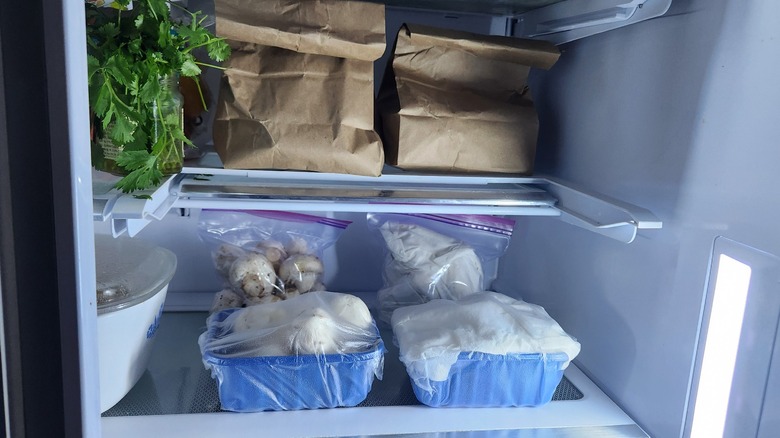 storing mushrooms in fridge