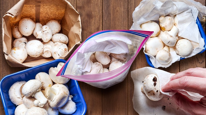 nine mushroom storage methods