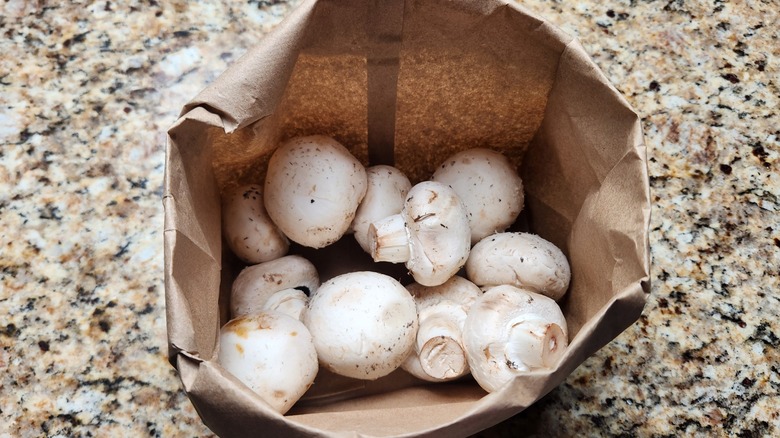 mushrooms in paper bag