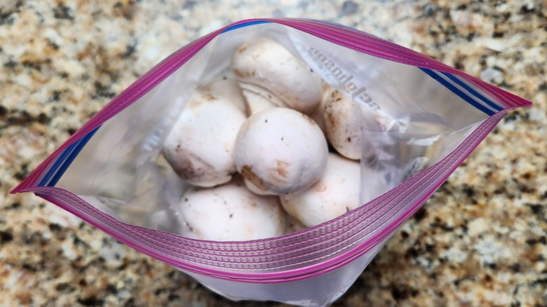 plastic bag mushrooms