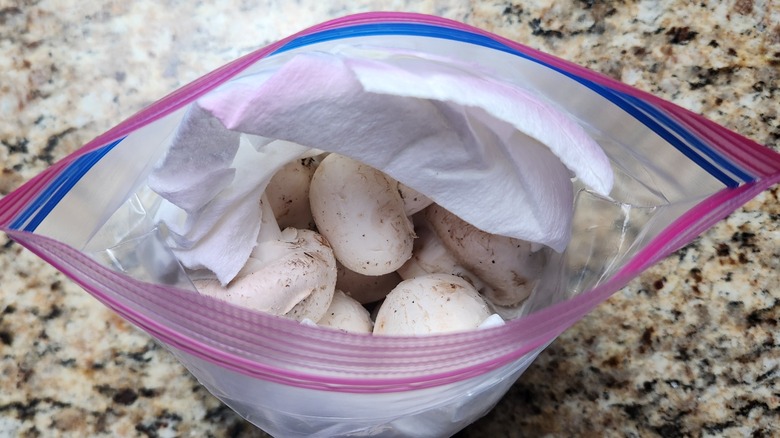 plastic bag mushrooms with paper towel