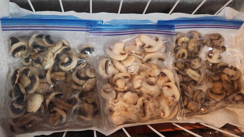 mushrooms in freezer bags