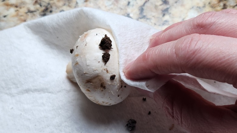 wiping dirt off a mushroom