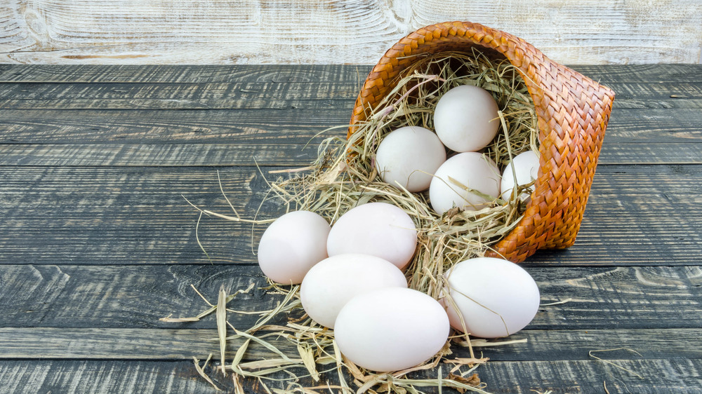 Duck eggs spilled from basket