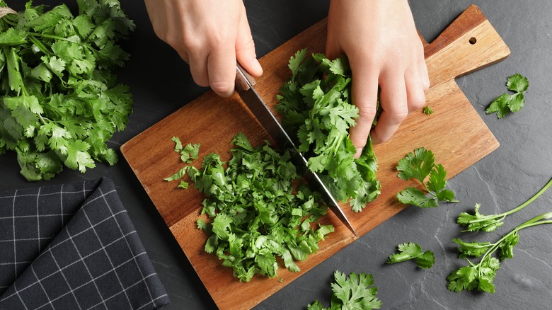 A home chef chopping cilantro