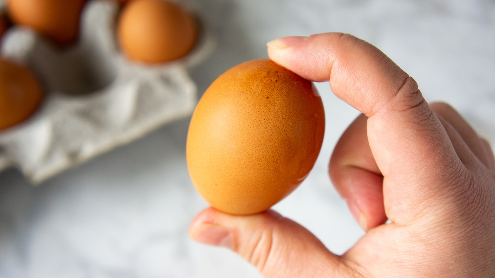 fingers holding either end of an egg as if about to shake it