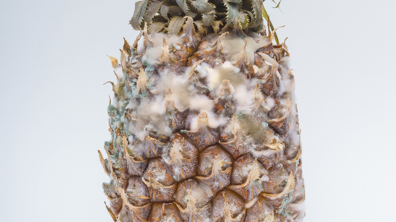 How To Tell If Pineapple Has Gone Bad