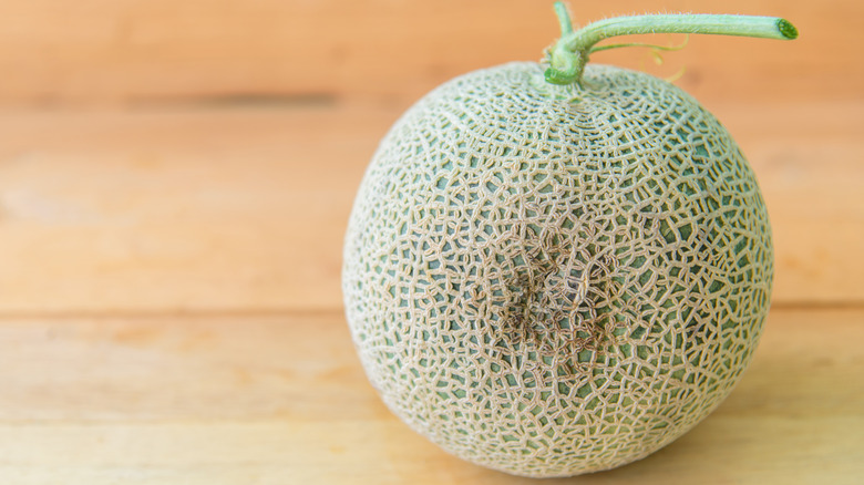 Rotten cantaloupe on a counter