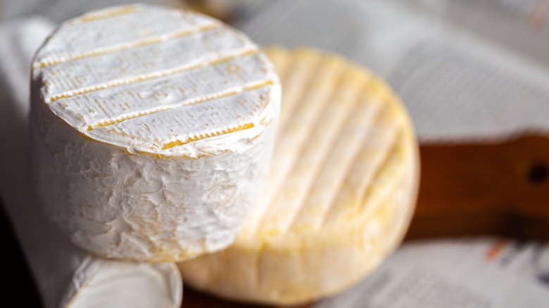 Brie and Camambert cheeses