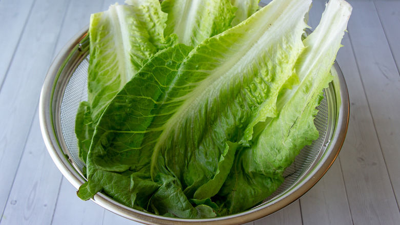 Romaine lettuce leaves in a large metal strainer