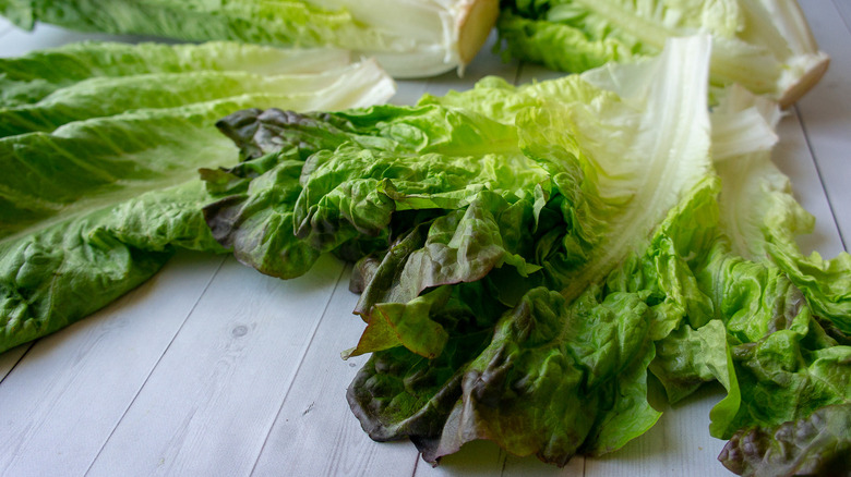 Lettuce leaves pulled from the head