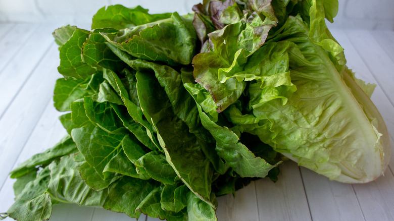 head of lettuce on kitchen table