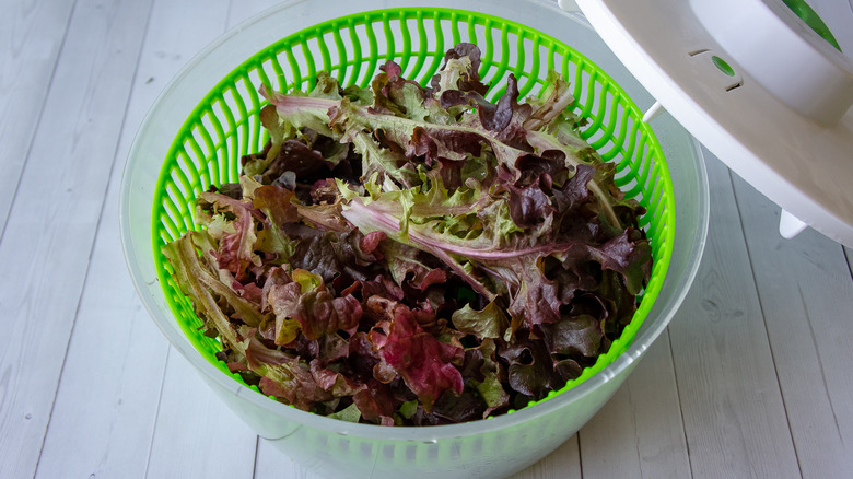 lettuce leaves in a salad spinner