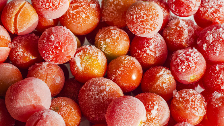 tomatoes covered with hoarfrost