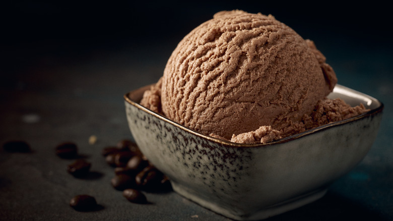 Bowl of chocolate ice cream